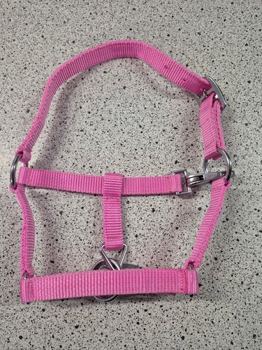 Halfter mini shetty pony - mini,