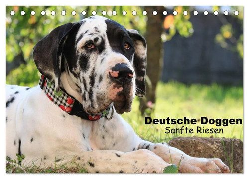 Deutsche doggen sanfte - deutsche,