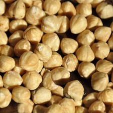 Haselnüsse geschält blanchiert Speisequalität Super Premium