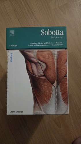 Sobotta lernkarten auflage - 2.,