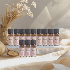 Duftöl Set 12x10ml – FRESH
