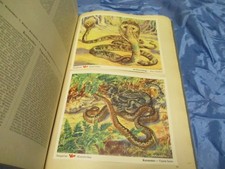 Das Tierreich , Sammelbilderalbum , VOSS  Kunstbilder Bd. 1 , Margarine Reklame 