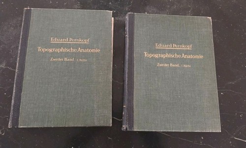 Topographische anatomie des - topographische,