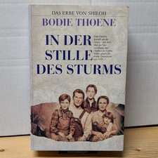 In der Stille des Sturms, Bd 4