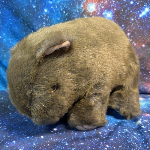 Wombat beuteltier zoll wwf - zoll,