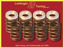 Kadett B  Ventilfedern