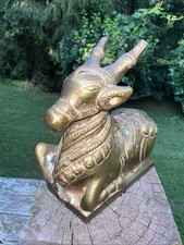 India Nandi, Shiva Holy Bull