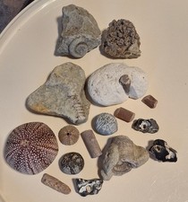 Wunderschönes aus der Natur