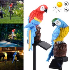 Solarenergie LED Papagei Rasen