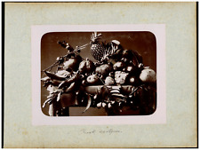 Komposition exotischer