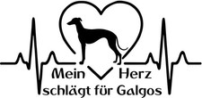 Galgo autoaufkleber aufkleber - galgo,