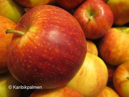 Apfelbaum jonagold - apfelbaum, 'jonagold'