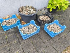 Kieselsteine zu verschenken