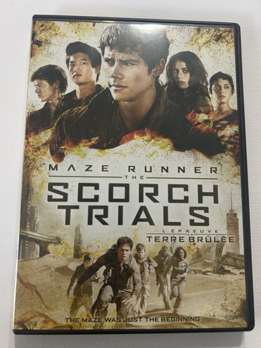 Maze runner scorch - maze,