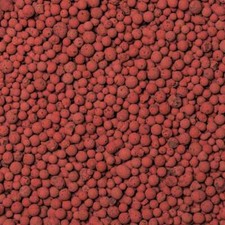 brockytony 4-8mm. Pflanzton