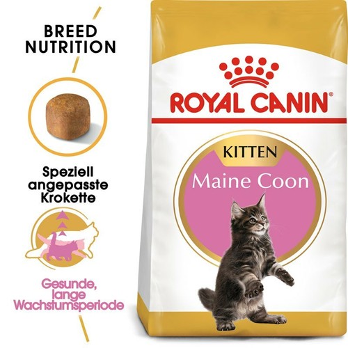Royal canin maine - canin, coon