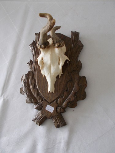 Rehbock abnormes reh bock - rehbock,