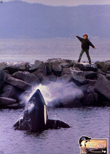 Free willy aushangfoto a3 - free,