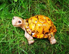 Schildkröte KERAMIK -