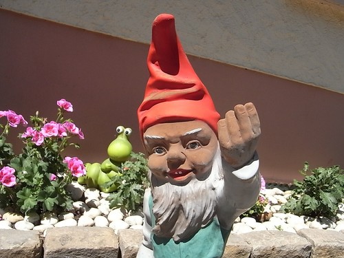 Seltener heissner 971 garten - seltener,