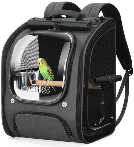 Vogel rucksack mit - vogel, holzstab