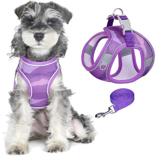 Hundegeschirr leinen set - hundegeschirr, leinen-set
