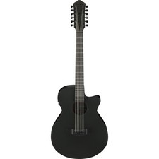 Ibanez AEG1221-BOT 12-String -