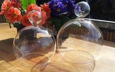 Glashaube Cloche Kugelrund