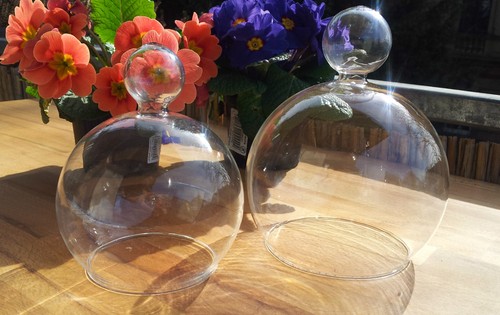 Glashaube cloche kugelrund - glashaube,