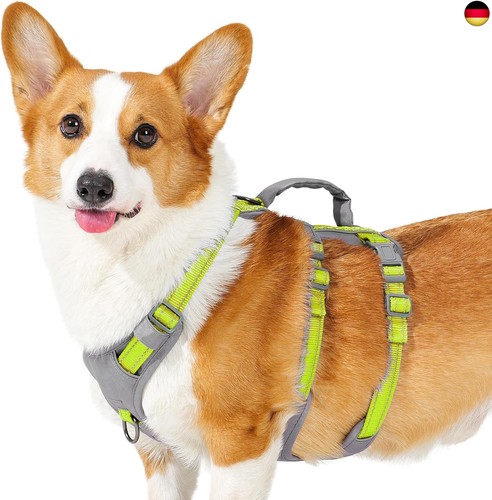 Huntboo sicherheitsgeschirr - huntboo,