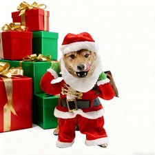 Weihnachtsmann-Haustierkostüm