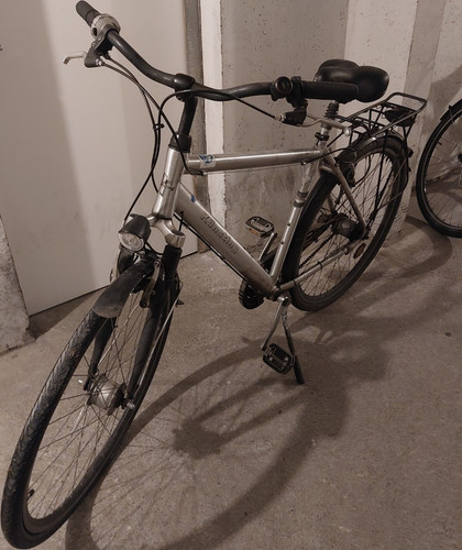 Pegasus trekkingrad silber mit - pegasus,
