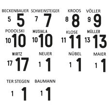 Deutschland Flock 125 Jahre DFB 2025 für weißes und blaues adidas Trikot