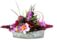 CASA - POADOR ORCHIDEENGESTECK