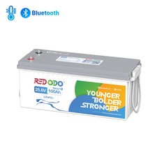 Redodo 24V 100Ah LiFePO4 Lithium Batterie Bluetooth Low Temp Schutz - Gebraucht
