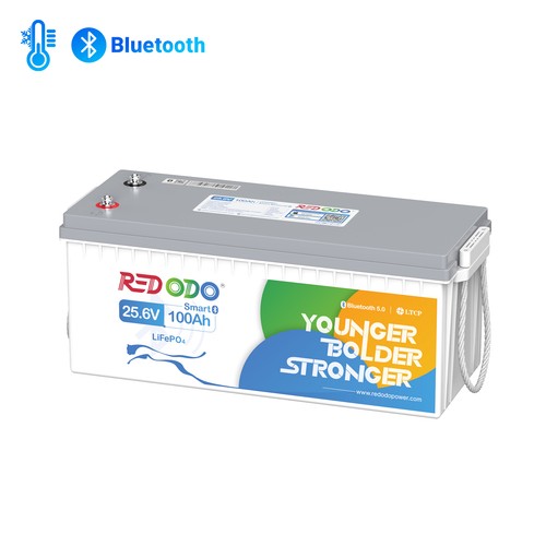 Redodo 24v 100ah lifepo4 - 24v,