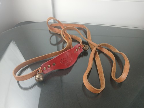 Spitze pferdeleine zum - spitze!,