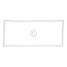 Gefrierfachdichtung Amica 1039307 für Kühlschrank