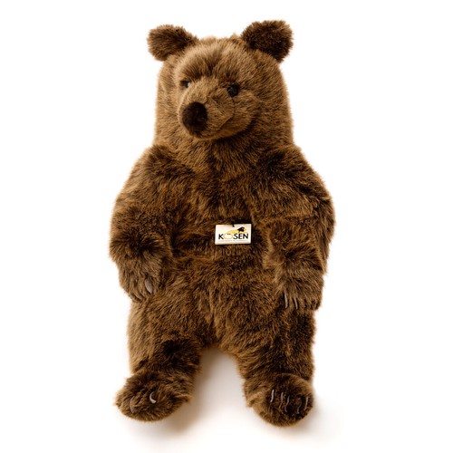 Braunbär von kosen kösen - von, /
