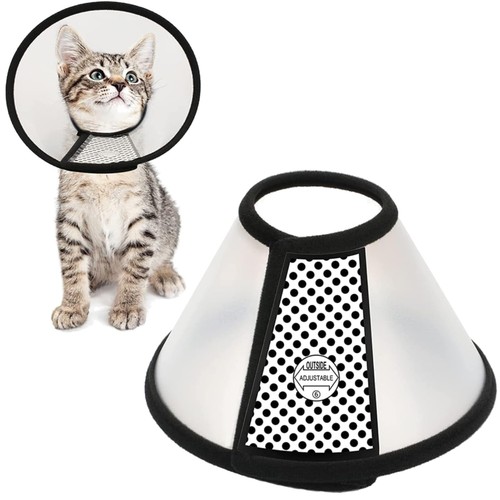 Haustier halskrause katze hund - haustier,