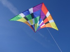 Drachen Einleiner Delta Rainbow Checker 210cm