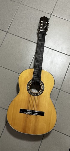 Cosmotone meistergitarre - cosmotone,