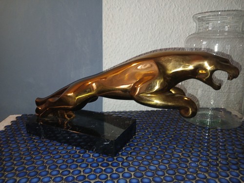 Jordi martin jaguar - jordi,