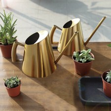 Edelstahl Gießkanne