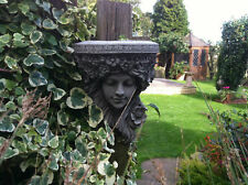 Blumenkind Stein Wand