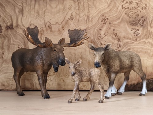 Schleich elch familie - familie,