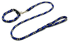 Hundeleine + Hundehalsband New