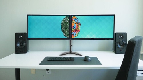 Dell dual monitor - dell, 22"