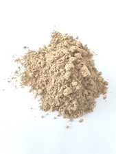 Schwarzes Bilsenkraut -