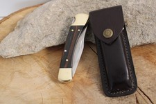 Buck 110 Folding Hunter